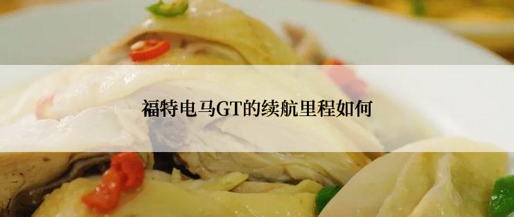 福特电马GT的续航里程如何