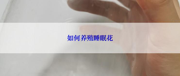 如何养殖睡眠花