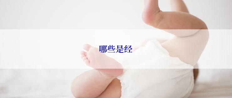 哪些是经
