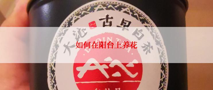 如何在阳台上养花