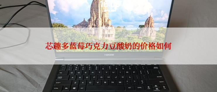 芯趣多蓝莓巧克力豆酸奶的价格如何