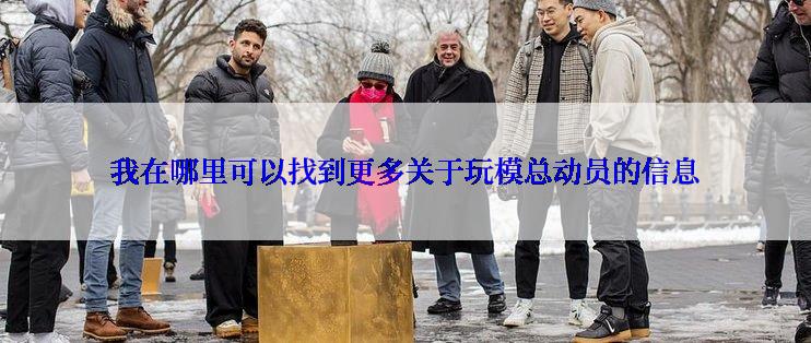 我在哪里可以找到更多关于玩模总动员的信息