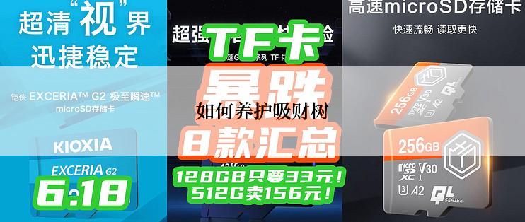 如何养护吸财树