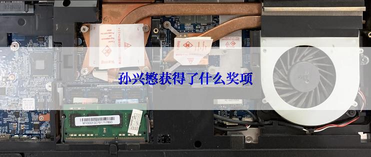 孙兴慜获得了什么奖项