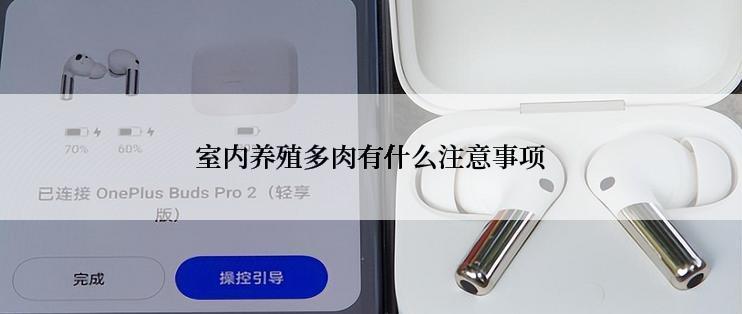 室内养殖多肉有什么注意事项