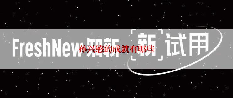 孙兴慜的成就有哪些