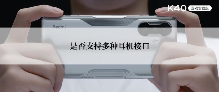 是否支持多种耳机接口