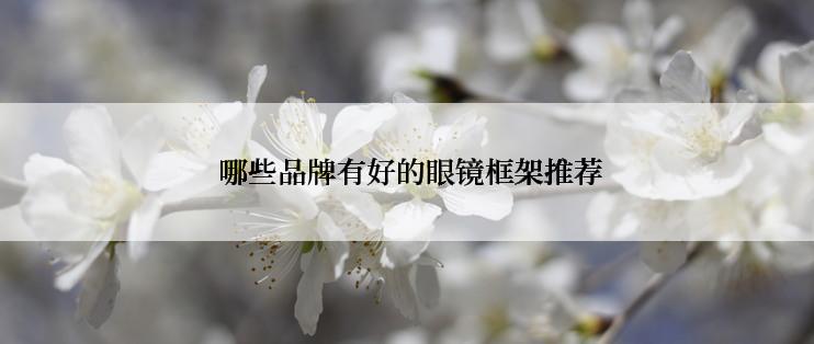 哪些品牌有好的眼镜框架推荐