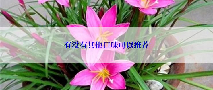 有没有其他口味可以推荐
