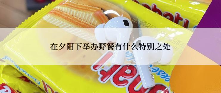 在夕阳下举办野餐有什么特别之处