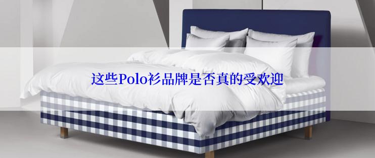 这些Polo衫品牌是否真的受欢迎