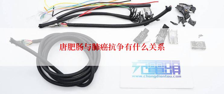 唐肥肠与肺癌抗争有什么关系