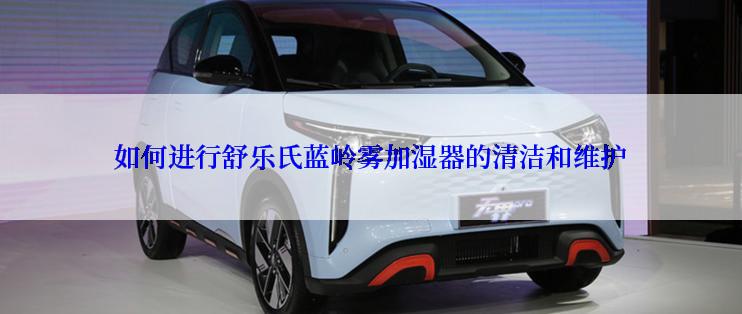 如何进行舒乐氏蓝岭雾加湿器的清洁和维护