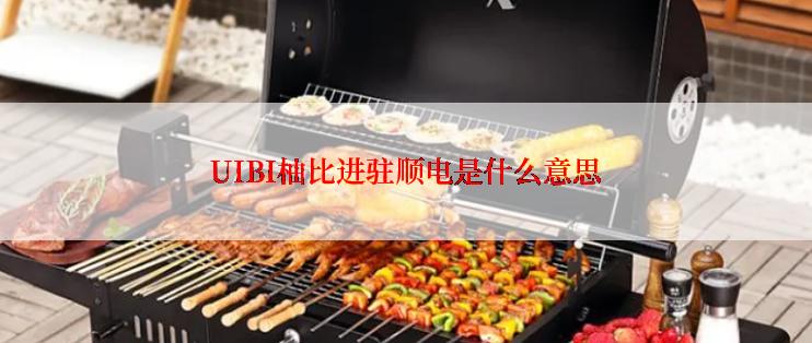 UIBI柚比进驻顺电是什么意思