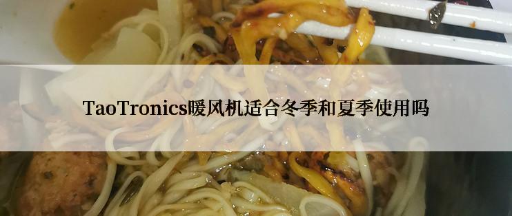TaoTronics暖风机适合冬季和夏季使用吗
