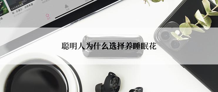 聪明人为什么选择养睡眠花