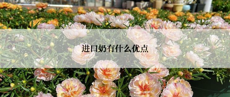 进口奶有什么优点