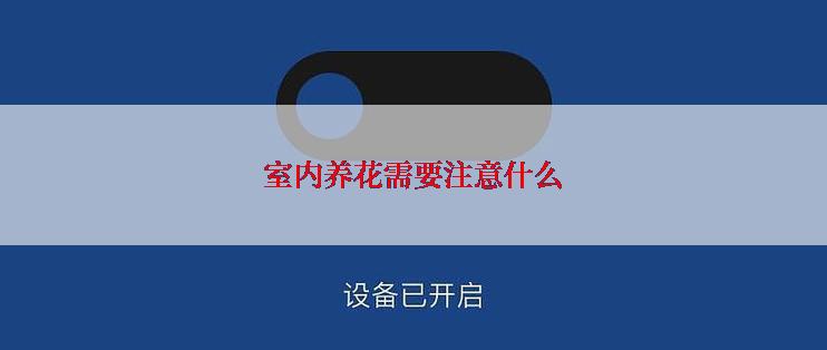 室内养花需要注意什么