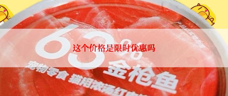 这个价格是限时优惠吗