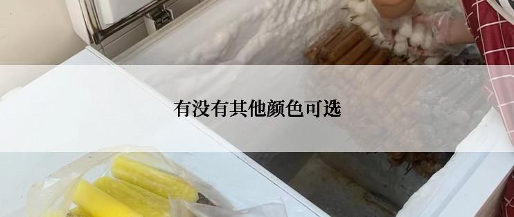 有没有其他颜色可选