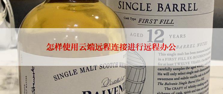 怎样使用云端远程连接进行远程办公