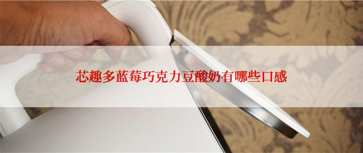 芯趣多蓝莓巧克力豆酸奶有哪些口感