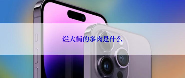 烂大街的多肉是什么