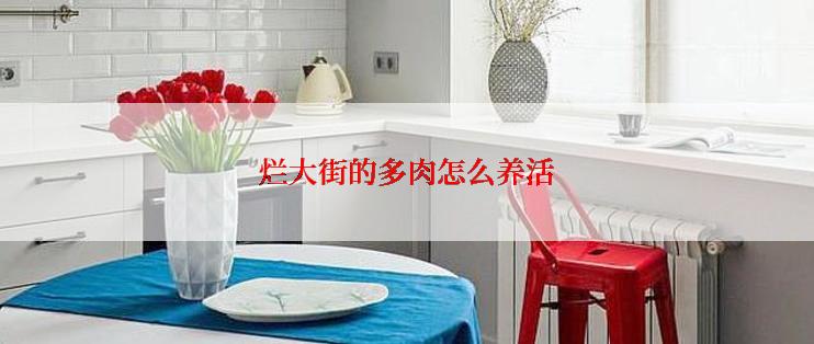 烂大街的多肉怎么养活