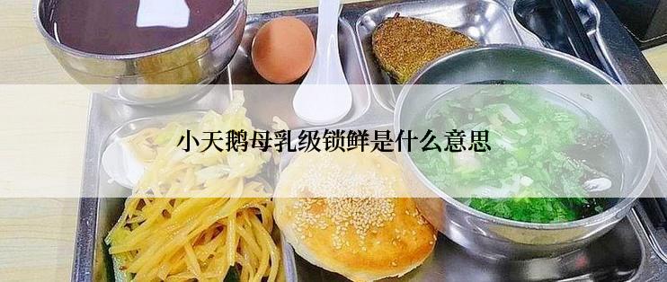 小天鹅母乳级锁鲜是什么意思