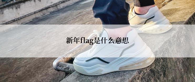 新年flag是什么意思