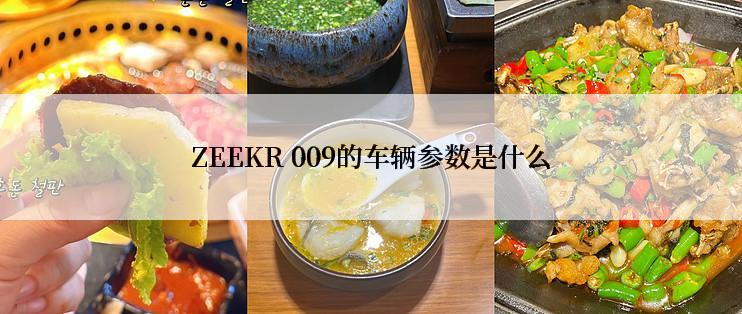 ZEEKR 009的车辆参数是什么