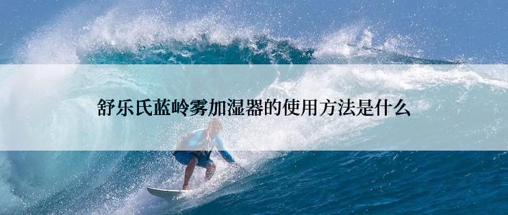 舒乐氏蓝岭雾加湿器的使用方法是什么