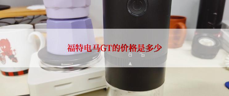福特电马GT的价格是多少