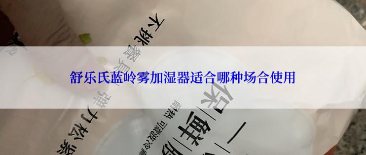 舒乐氏蓝岭雾加湿器适合哪种场合使用