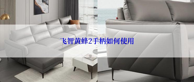 飞智黄蜂2手柄如何使用