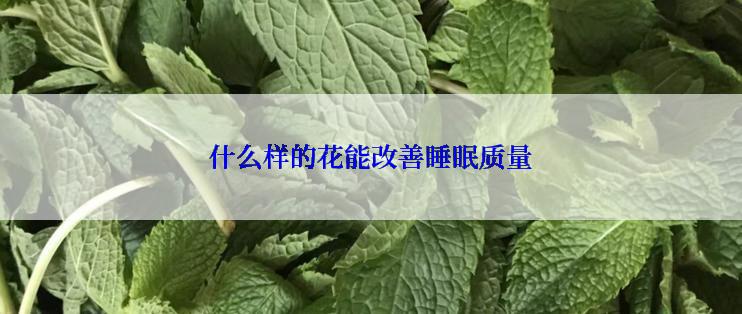 什么样的花能改善睡眠质量