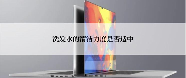洗发水的清洁力度是否适中