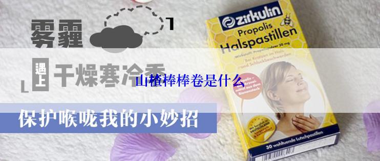 山楂棒棒卷是什么