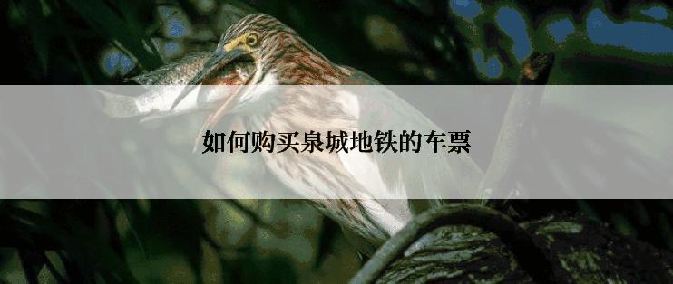 如何购买泉城地铁的车票