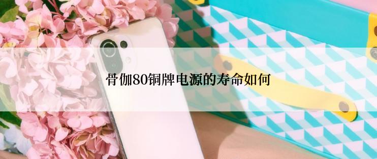 骨伽80铜牌电源的寿命如何