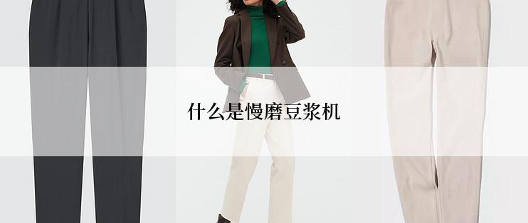 什么是慢磨豆浆机