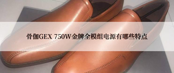 骨伽GEX 750W金牌全模组电源有哪些特点