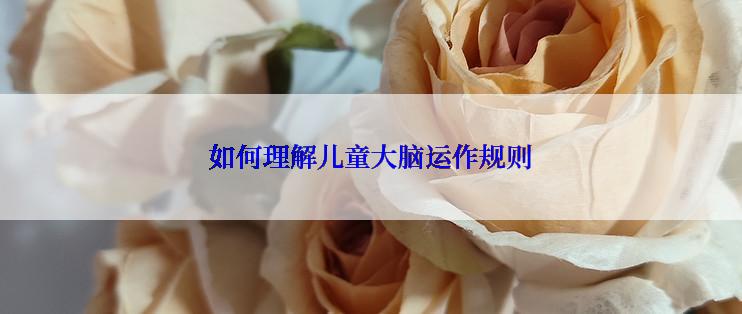 如何理解儿童大脑运作规则
