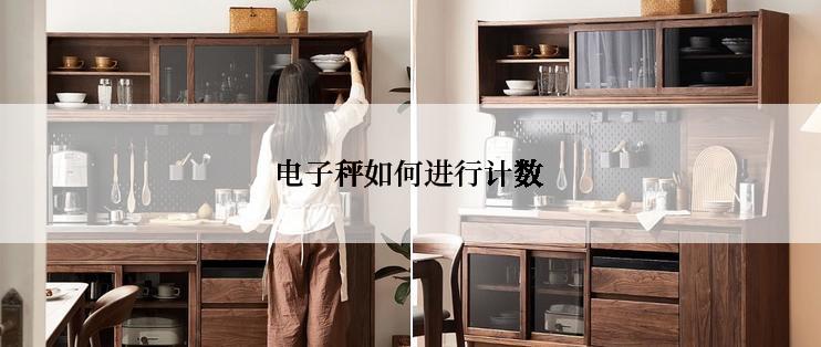 电子秤如何进行计数