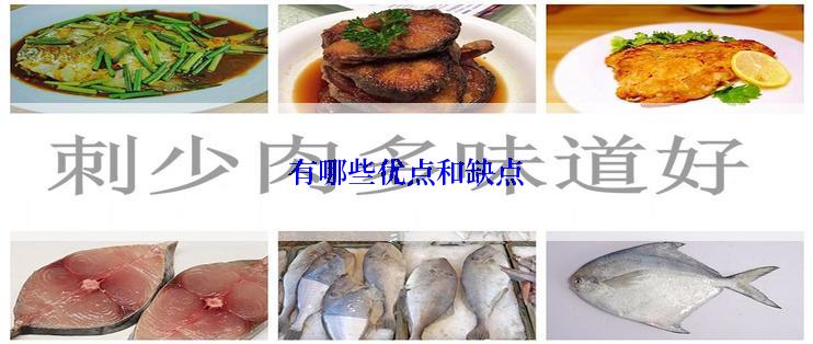 有哪些优点和缺点