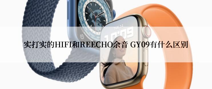 实打实的HIFI和REECHO余音 GY09有什么区别