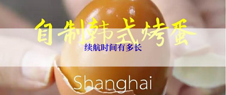 续航时间有多长