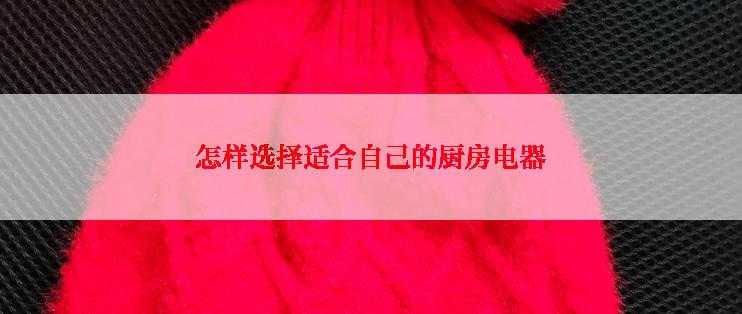怎样选择适合自己的厨房电器