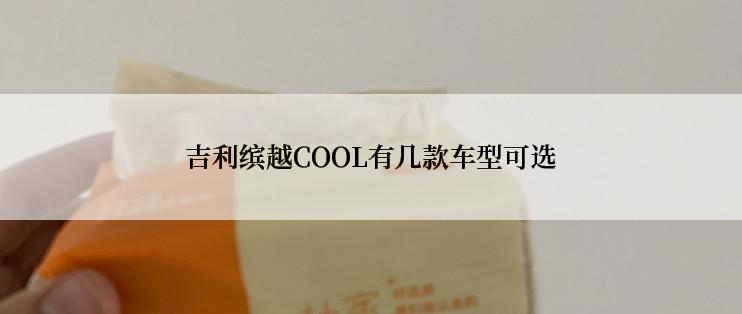 吉利缤越COOL有几款车型可选