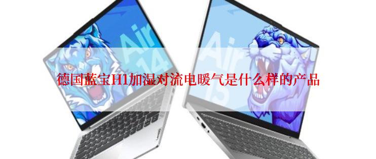 德国蓝宝H1加湿对流电暖气是什么样的产品
